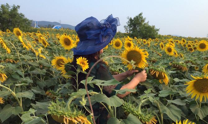 象征光明和黑暗并存的花（探寻花朵内涵中的二元对立）