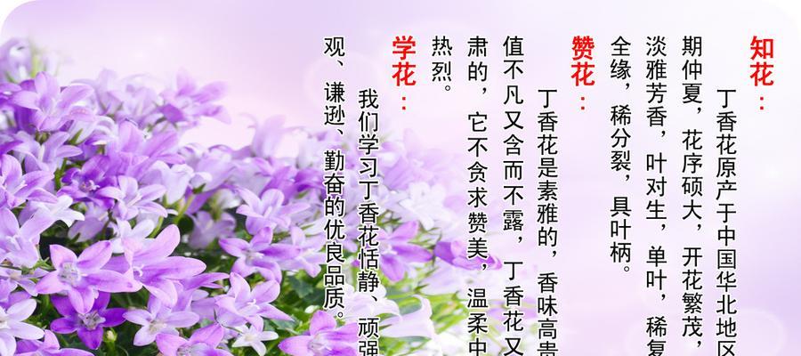 紫丁香的花语与象征意义（紫丁香寓意深刻，寄托情感与祝福）