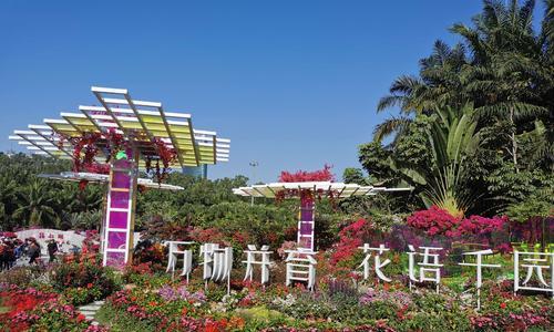 深圳市的市花——紫荆花（深圳市花的来源、特点和文化意义）