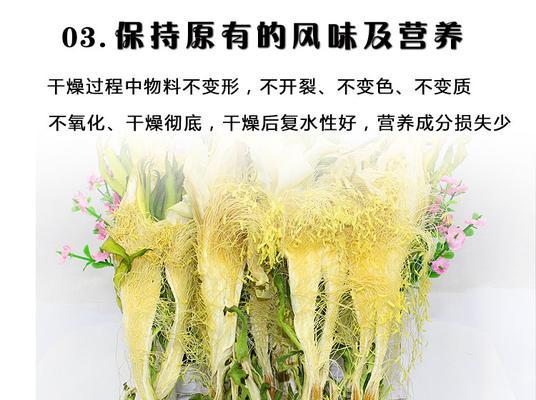 霸王花盛放之美—开花时间与寓意（探秘霸王花的绽放奥秘，领略其独特花期和象征意义）