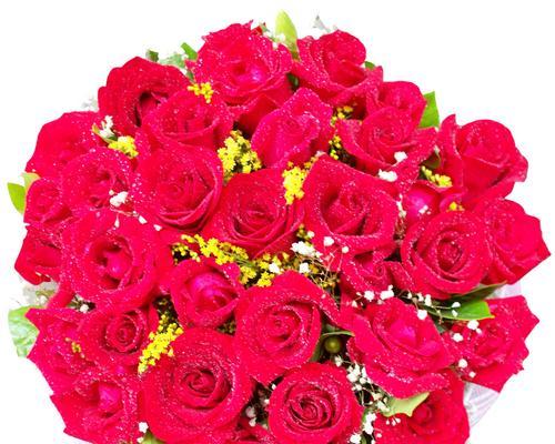 黑红玫瑰花的深情花语（揭秘黑红玫瑰花所传达的浓烈爱意与神秘情感）