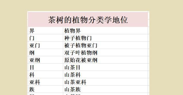 茶叶采摘与收获季节的重要性（探秘茶叶的最佳采摘时间和收获季节）