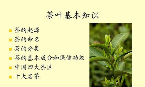 茶叶的生长环境与生长地方条件（从土壤到气候）