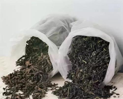 从茶叶渣到花园盛景，这些花儿最爱“喝”茶（茶叶渣养花指南）