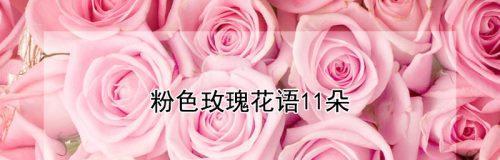 七朵玫瑰的花语传递爱的情感（探索七朵玫瑰所代表的花语及其意义）