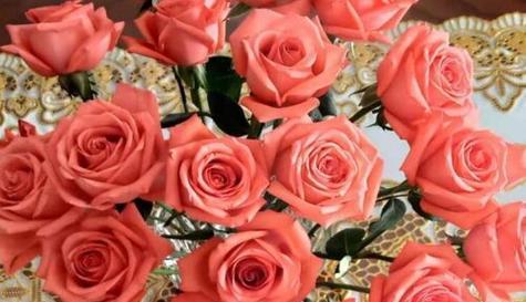 粉红色玫瑰的花语与意义（探寻粉红色玫瑰背后的情感世界）