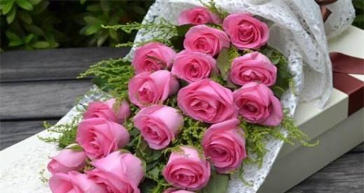粉色玫瑰的花语和意义（探索粉色玫瑰背后的浪漫和温暖）