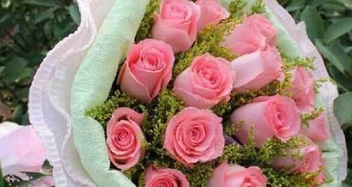 粉色玫瑰花语的意义和象征（粉色玫瑰代表爱情与美好）