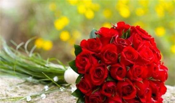红玫瑰花语——爱的表达与承诺（以红玫瑰为信物）