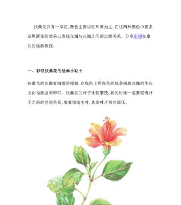 扶桑花水浇多了应该怎么处理（遇到扶桑花浇水过多的情况）