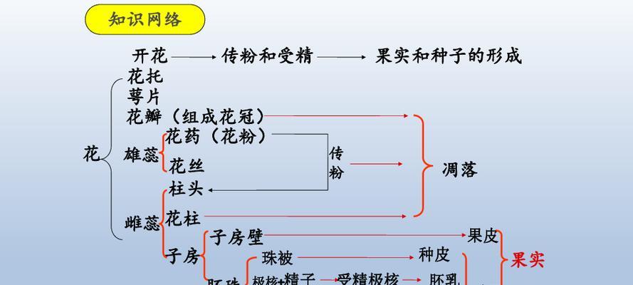 探究梅花种子的来源（梅花的生命之谜）