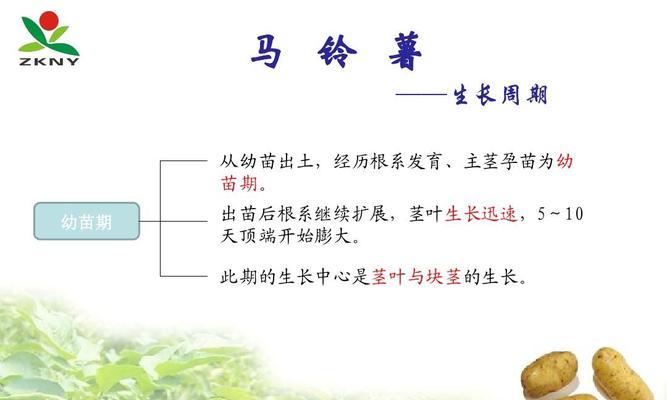 如何保存土豆不发芽（有效的土豆储存方法）