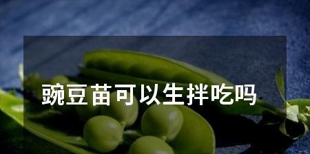 豌豆苗（豌豆苗的营养价值及是否存在食用风险）