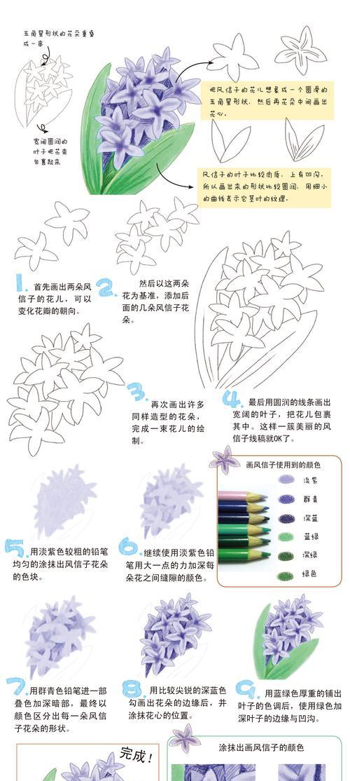 紫红色风信子的花语（探寻紫红色风信子的花语之美）