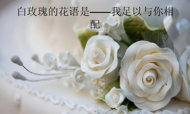 29朵玫瑰花语传递浪漫与真爱（用花语演绎珍贵的情感和承诺）