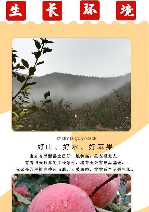 红苹果是灌木还是藤本（探究红苹果植物的生长习性和分类特征）