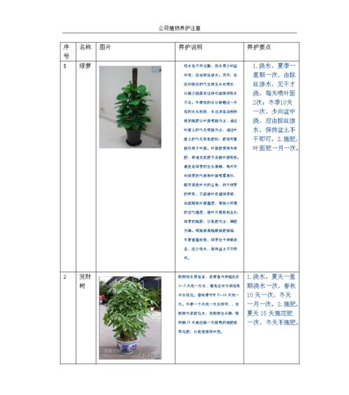 常春藤老桩的养殖与养护（如何培养一片翠绿的常春藤林）