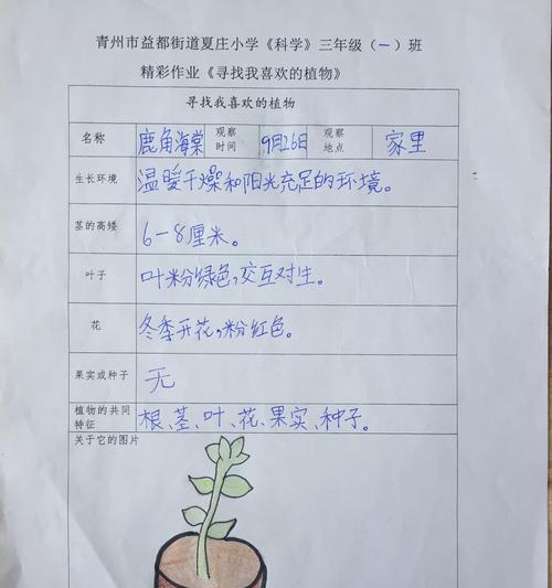 斑马花怎么养殖？斑马花的养殖方法是什么？