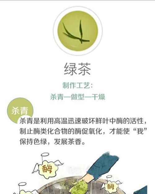 薄荷叶子发蔫原因及补救方法是什么？解决薄荷叶子发蔫的方法是什么？