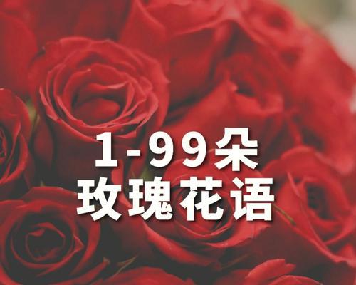 9朵玫瑰的花语是什么？9朵玫瑰的寓意是什么？