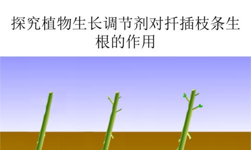 乒乓福娘配土方法是什么？乒乓福娘适合种植在什么土壤里？