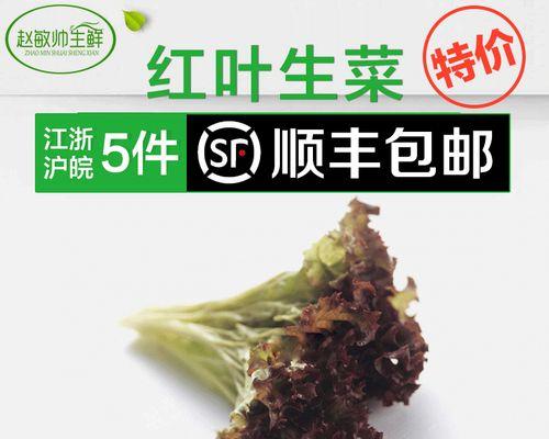 红叶生菜可以生吃吗？红叶生菜生吃的注意事项是什么？