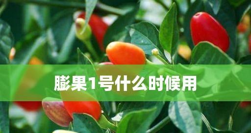 葡萄糖可以做肥料吗？葡萄糖做肥料的方法和注意事项是什么？