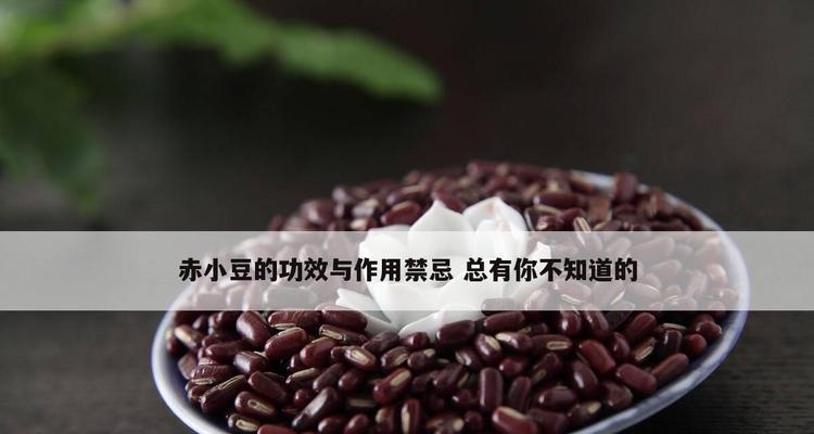 红小豆的功效与作用是什么？红小豆的营养价值和用途有哪些？