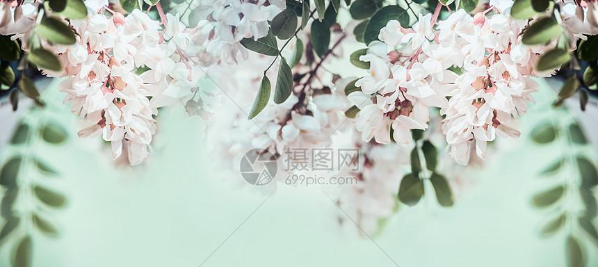 表示思念的花的花语是什么？这种花有哪些特点和象征意义？