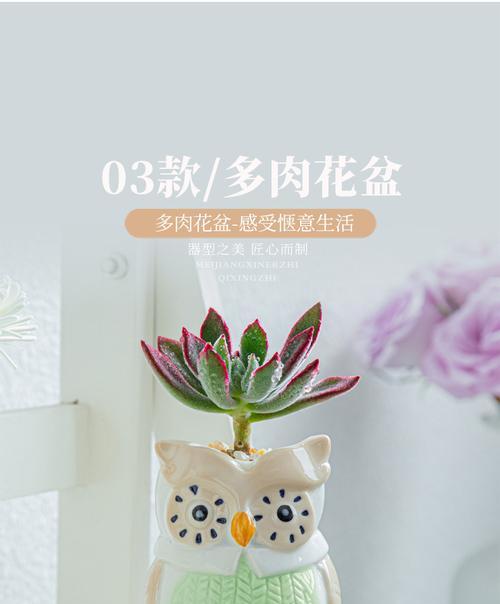 花盆独立包装方法是什么？如何进行花盆的独立包装？