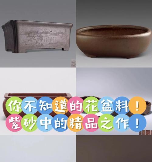 精品花盆带底座：如何选择与维护？