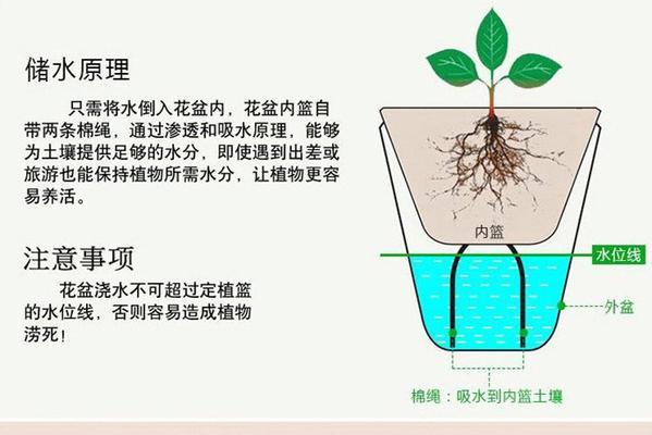 水培花盆白色粉末问题如何解决？处理步骤是什么？