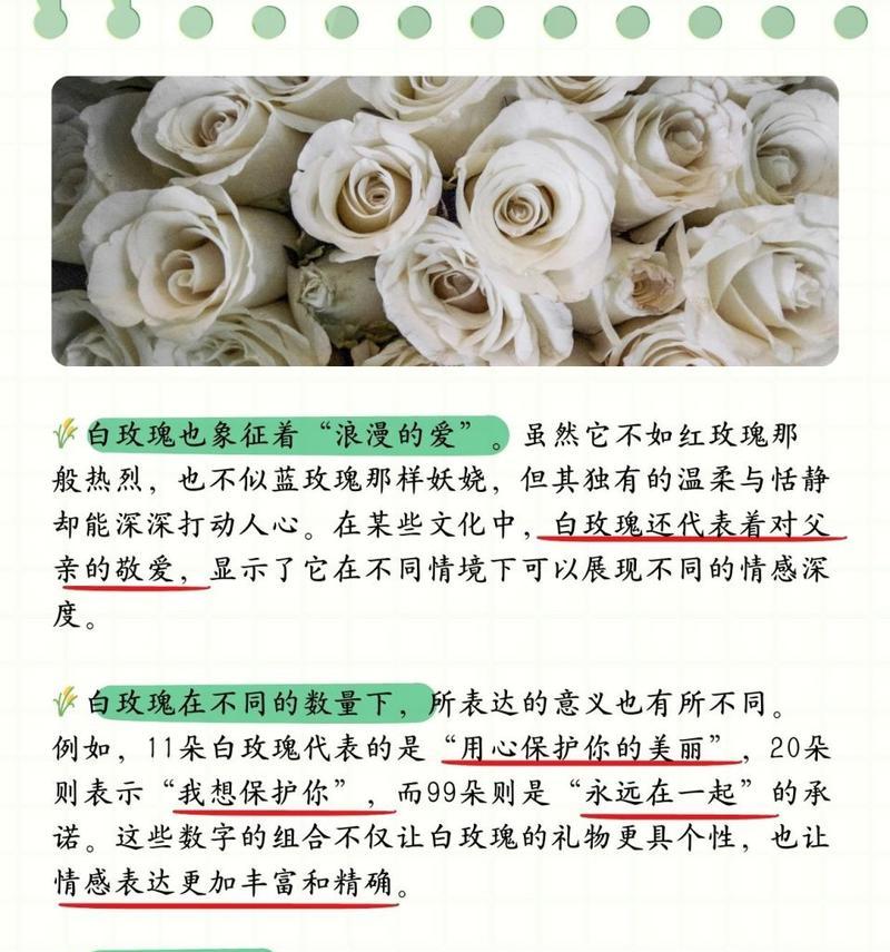 父亲节送花可以送白玫瑰吗？白玫瑰代表什么含义？