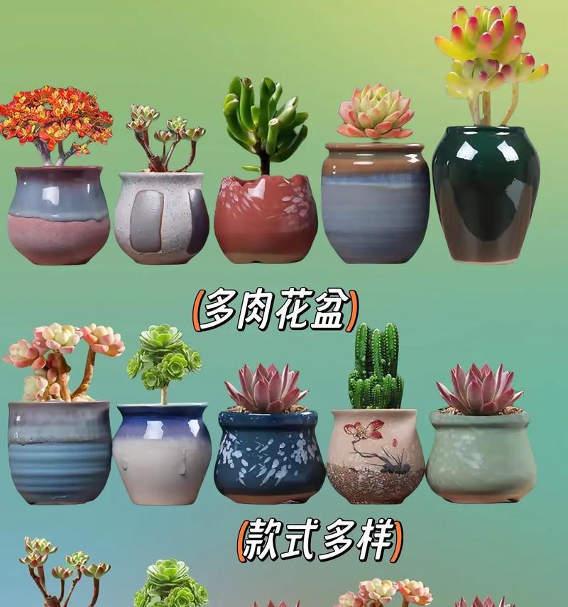 80公分花盆适合种植哪些花卉？80公分多肉花盆的价格是多少？