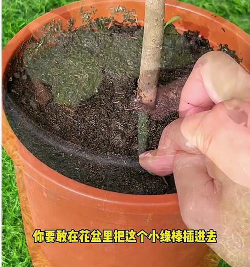 花盆底部洞堵法？哪种材料效果最佳？