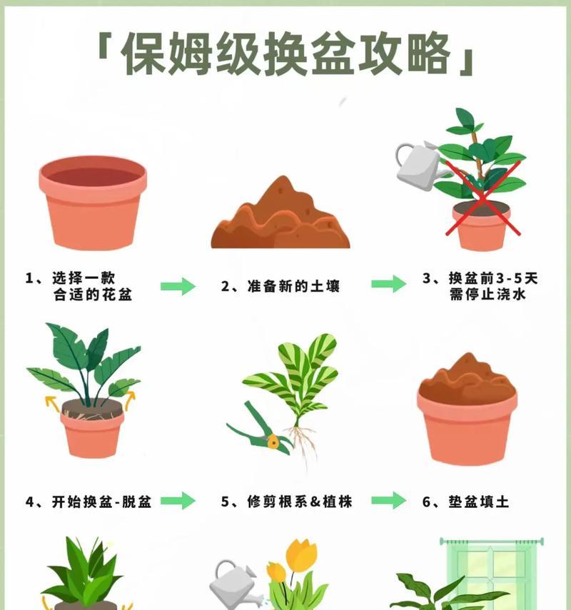 家里为何需要鲜花盆？