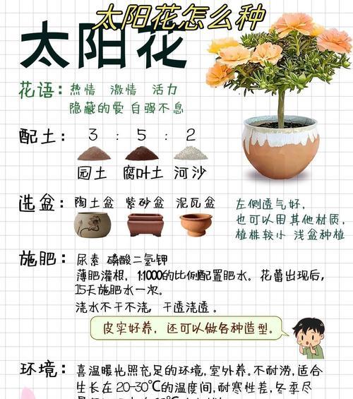 花草种子真假如何辨别？有哪些辨别技巧？