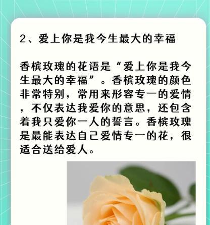 7朵香槟玫瑰的含义是什么？花语寓意能表达哪些情感？