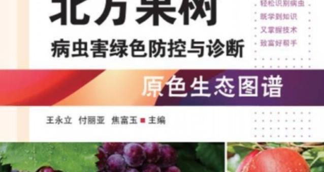 果树病虫害防治技术有哪些常见方法？如何有效实施防治措施？