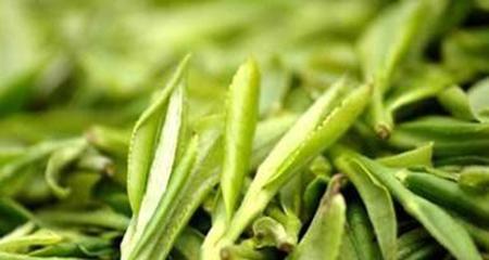 阿里山茶属于什么茶？它有哪些独特属性和特点？