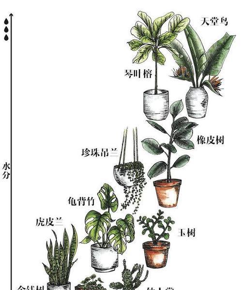 海棠换盆的最佳时间是什么时候？换盆步骤和注意事项有哪些？