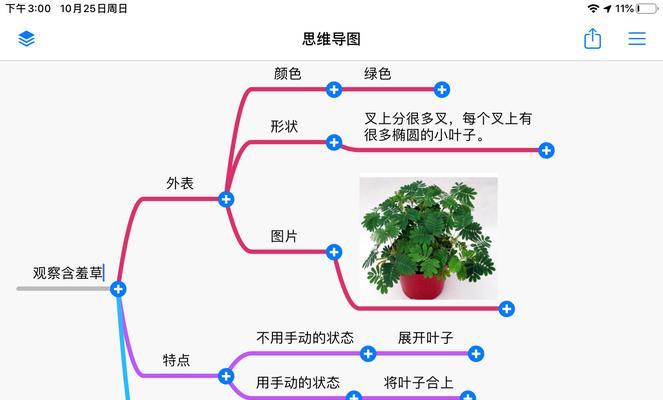 含羞草种子种植方法是什么？如何确保发芽率高？