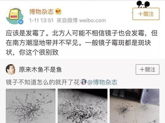 杭州暴雨导致车库被淹怎么办？绿植受损如何处理？