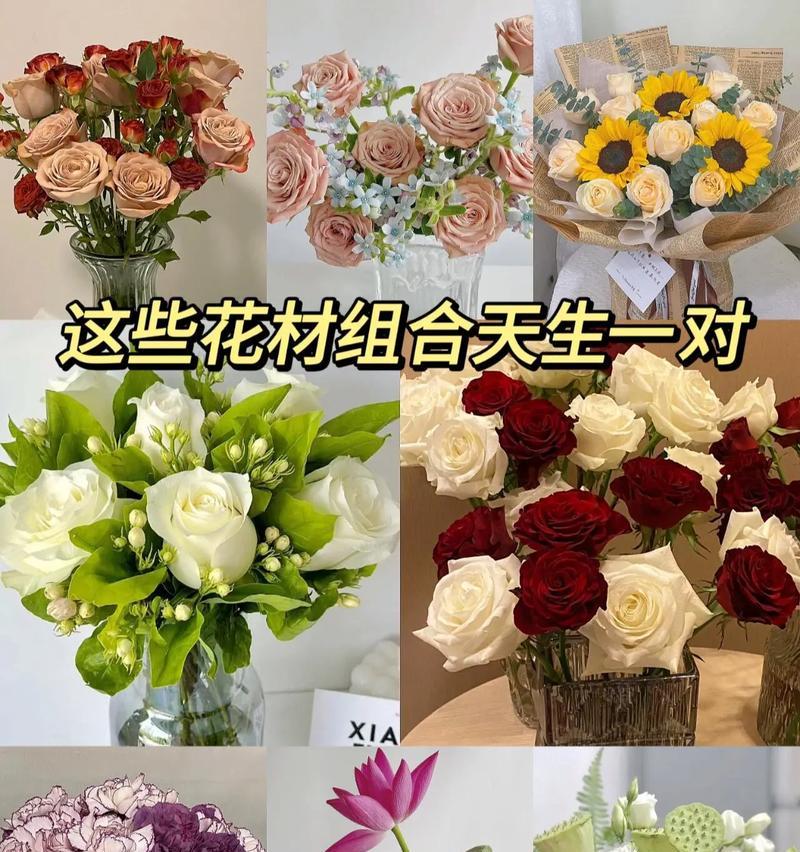 情人节送老婆白玫瑰还是红玫瑰？