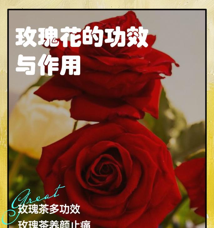 938朵玫瑰花代表什么含义？这个数字有何特殊意义？