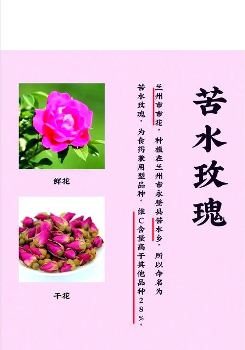 938朵玫瑰花的寓意是什么？它们表达什么意思？