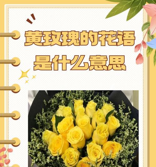 613朵玫瑰花的花语是什么？代表了哪些情感？