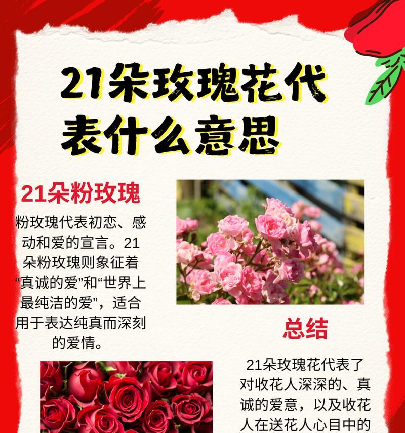 265朵玫瑰花传递什么信息？简单图片能否说明其含义？