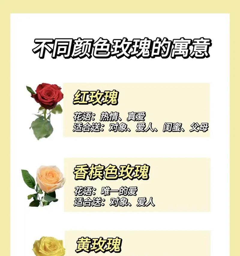 265朵玫瑰花传递什么信息？简单图片能否说明其含义？