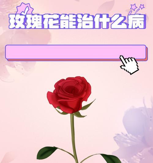 853朵玫瑰花代表什么？这种数量的玫瑰花是否真实存在？